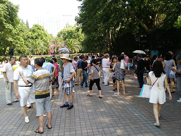 上海相亲角:家长互不认识只能拼条件 最怕子女不婚
